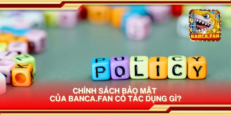 Chính sách bảo mật của bhavsarj.in có tác dụng gì?