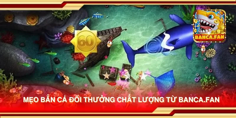 Mẹo bắn cá đổi thưởng chất lượng từ bhavsarj.in