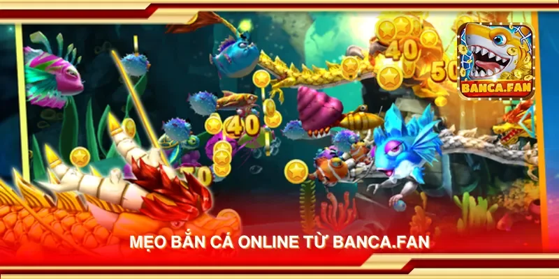 Mẹo bắn cá online từ bhavsarj.in