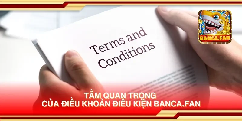 Tầm quan trọng của điều khoản điều kiện bhavsarj.in