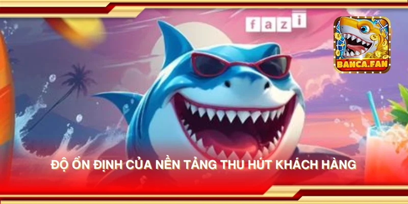 Độ ổn định của nền tảng thu hút khách hàng