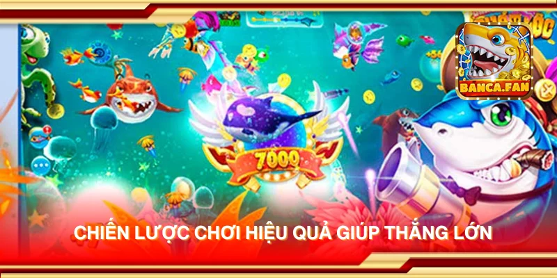Những ưu điểm nổi bật của nền tảng